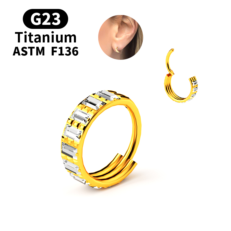 G23 Titan Zirkon Klappbarer Se – Septum Clicker Ring Bewertung und Preis