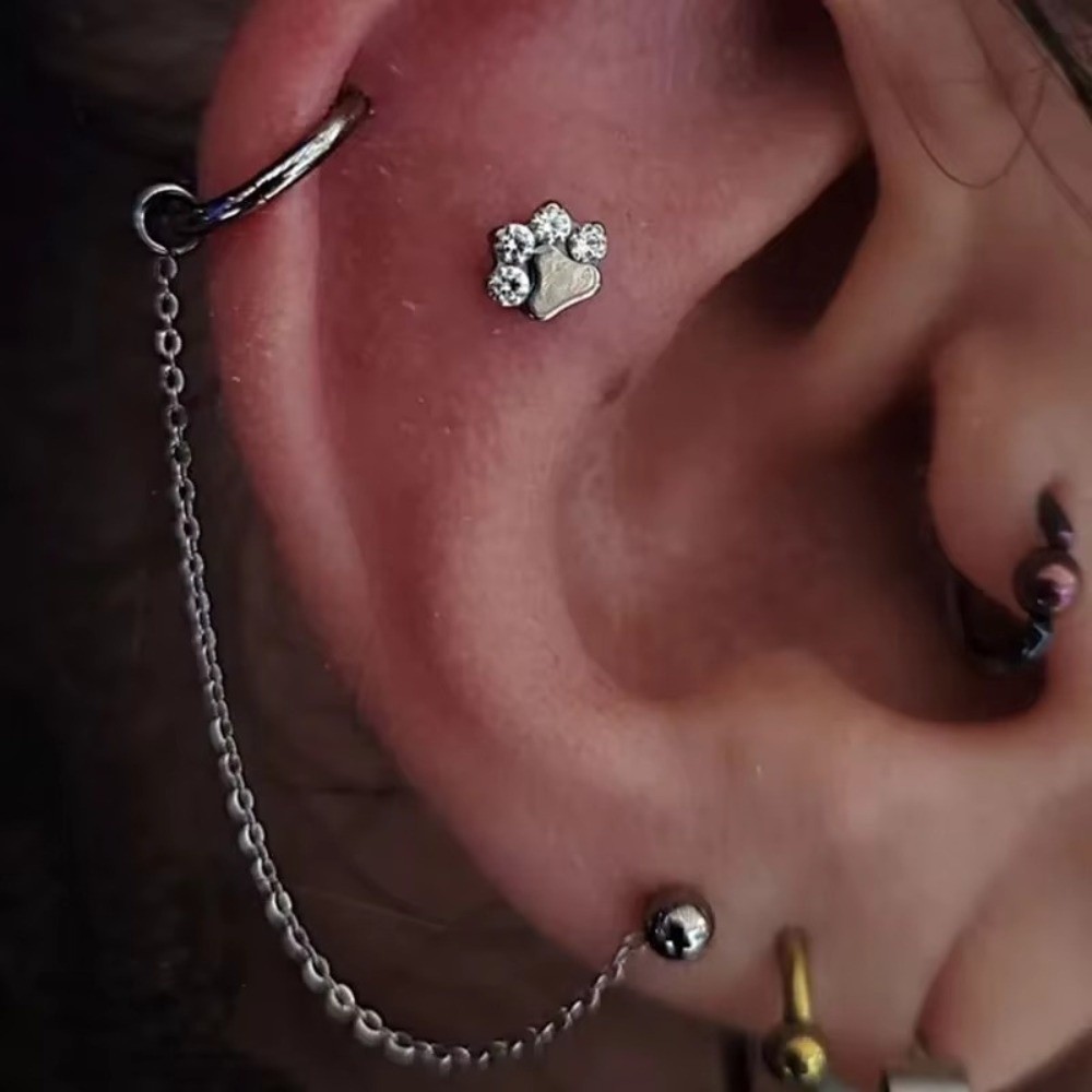 Titan-Nasenketten: Dreilagige  – Body Jewelry Ear Bewertung und Preis