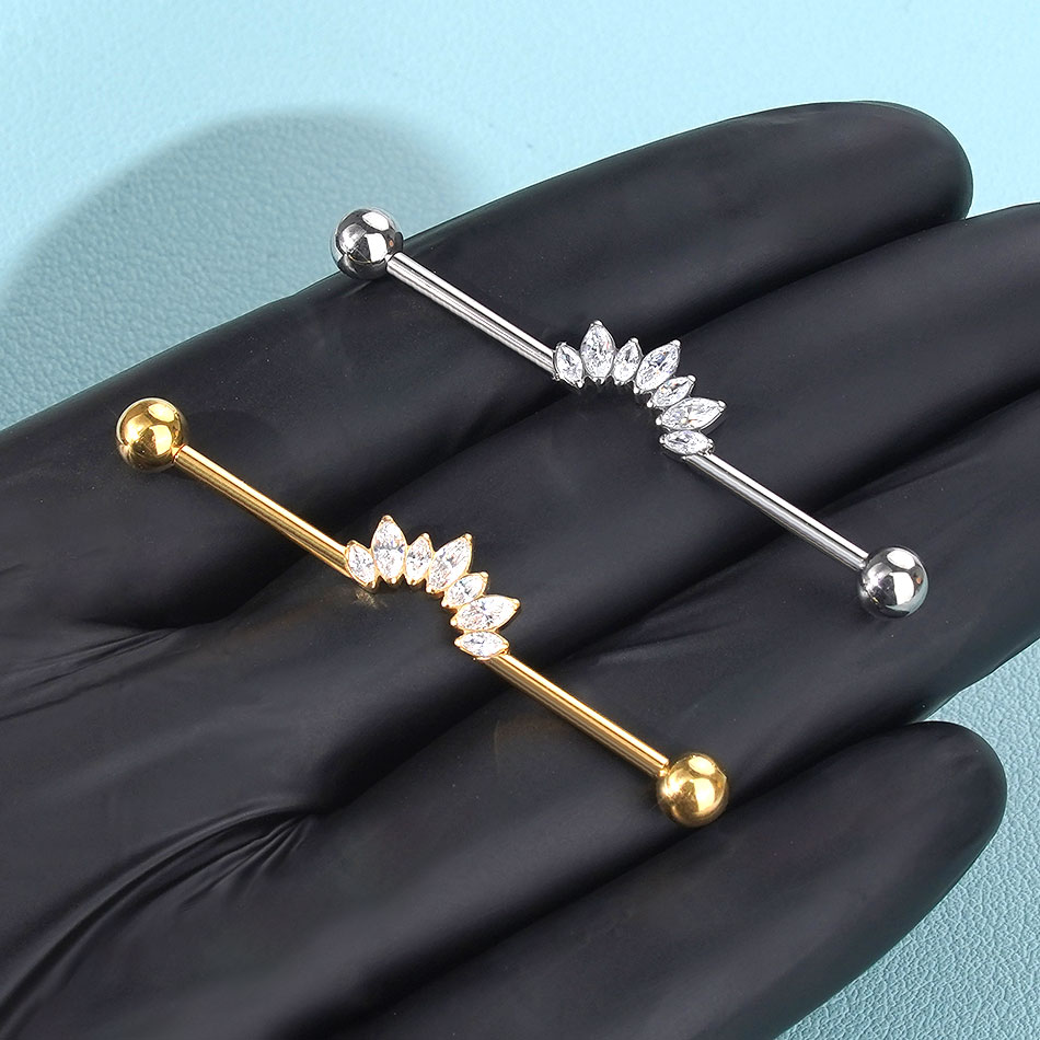 1/5PCS Titan 14G CZ Industrial – Industrial Barbell Long Bewertung und Preis