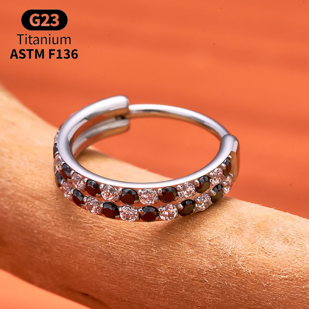 G23 Titan Facettierter CZ Segm – Septum Clicker Ring Bewertung und Preis