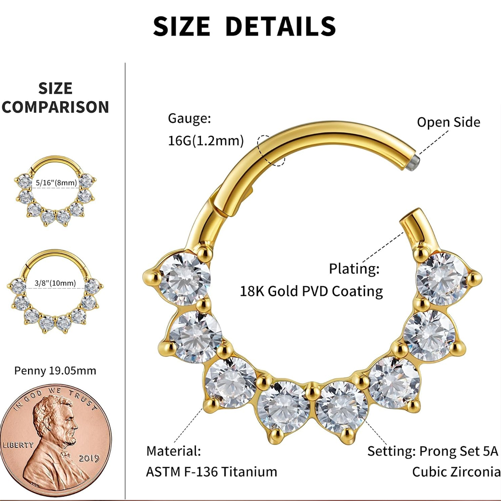 1 Stück G23 Titan Segment-Klic – Septum Clicker Ring Bewertung und Preis