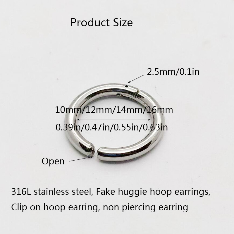 2/6 Stück gefälschte Huggie-Cr – Body Jewelry Cartilage Earrings Bewertung und Preis