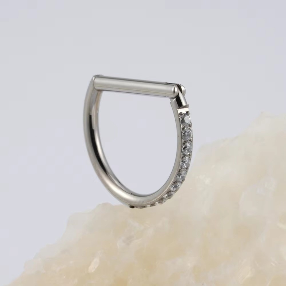 ASTM F136 Titan Septum Ring CZ – Body Jewelry Materials Bewertung und Preis