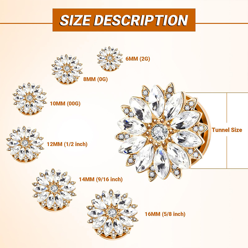 Ohrstecker und -tunnel mit Zir – Body Jewelry Ear Bewertung und Preis