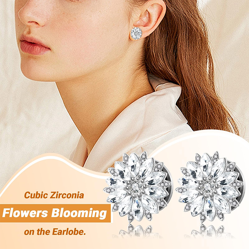Ohrstecker und -tunnel mit Zir – Body Jewelry Ear Bewertung und Preis
