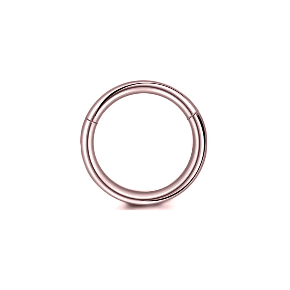 316L Chirurgenstahl Clicker Se – Septum Clicker Ring Bewertung und Preis
