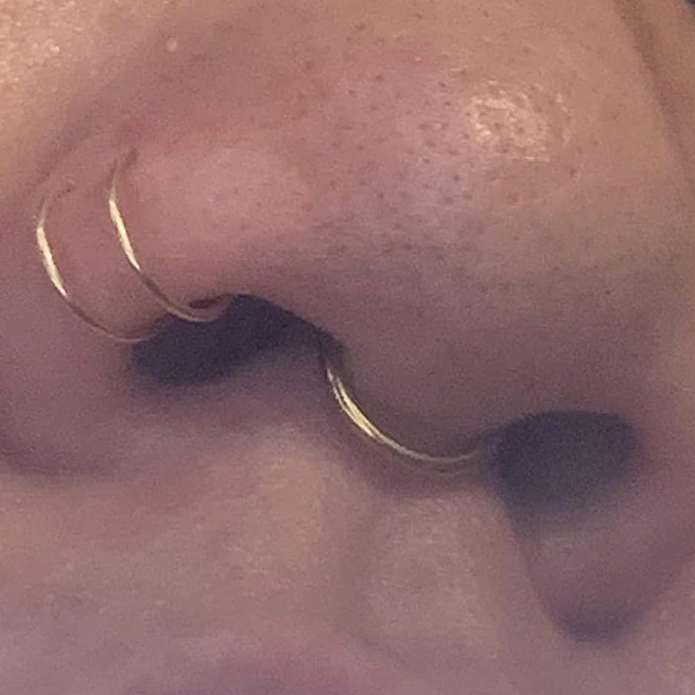 Künstliche Nasenringe, künstli – Body Jewelry Nose Studs Bewertung und Preis