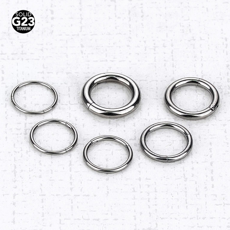 1PC G23 Titan Klapp Segment Ri – Septum Clicker Ring Bewertung und Preis